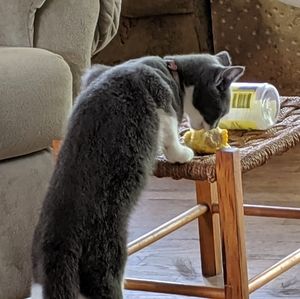 Meet your Posher, Ruth